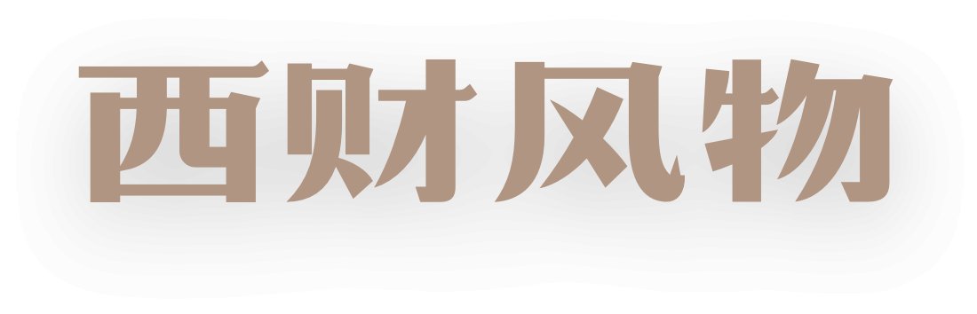 山东泰山携手nb官网公布官方合作庆祝